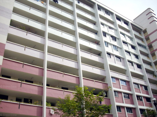 Jurong West Street 41 thumbnail photo